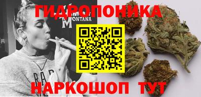 PSILOCYBIN Ипатово