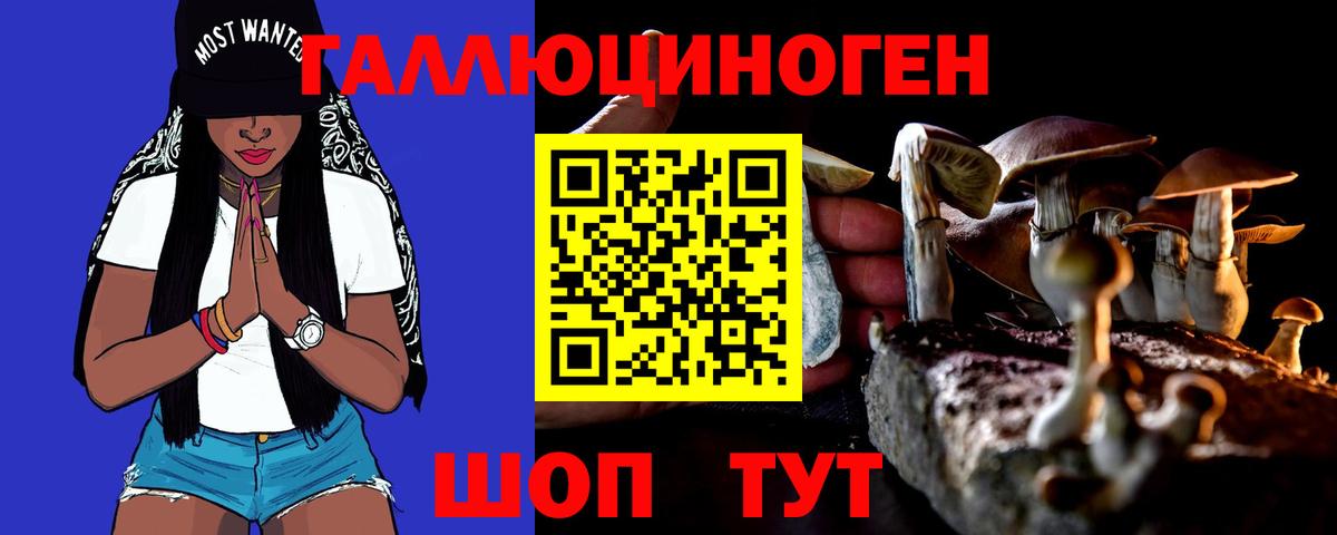 Псилоцибиновые грибы мухоморы Камышлов